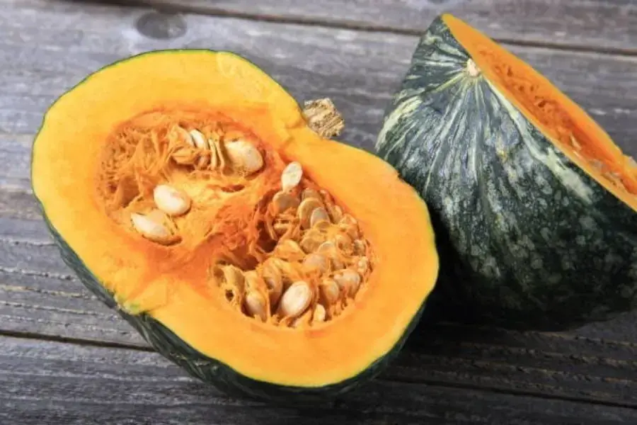 Bí đỏ là một loại cây thuộc họ Bầu bí.