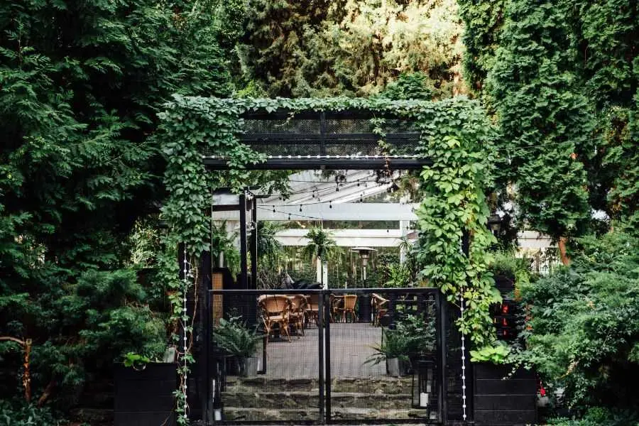Quán cafe “đắm chìm” trong không gian xanh mát của cây cối.