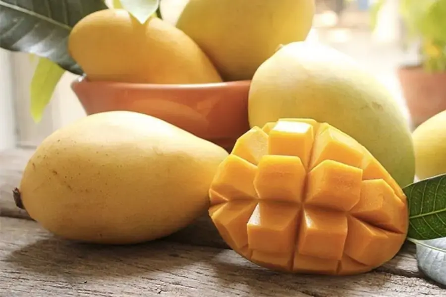 Xoài cát Hoà Lộc có thịt vàng và ngọt