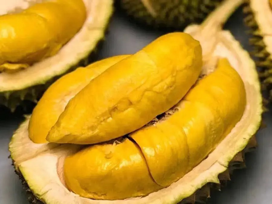 Sầu riêng 6 Ri – cơm dày, vàng, hạt lép lại thơm ngon, béo ngậy (nguồn: Baochinhphu.vn)