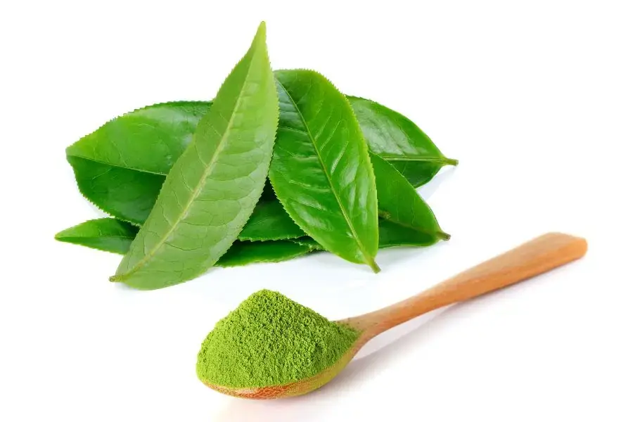 Ngâm cá trong nước trà xanh để khử mùi tanh