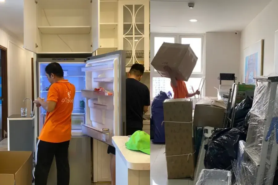 Chuyên nghiệp từng bước, từ phân loại đến đóng gói hoàn hảo.