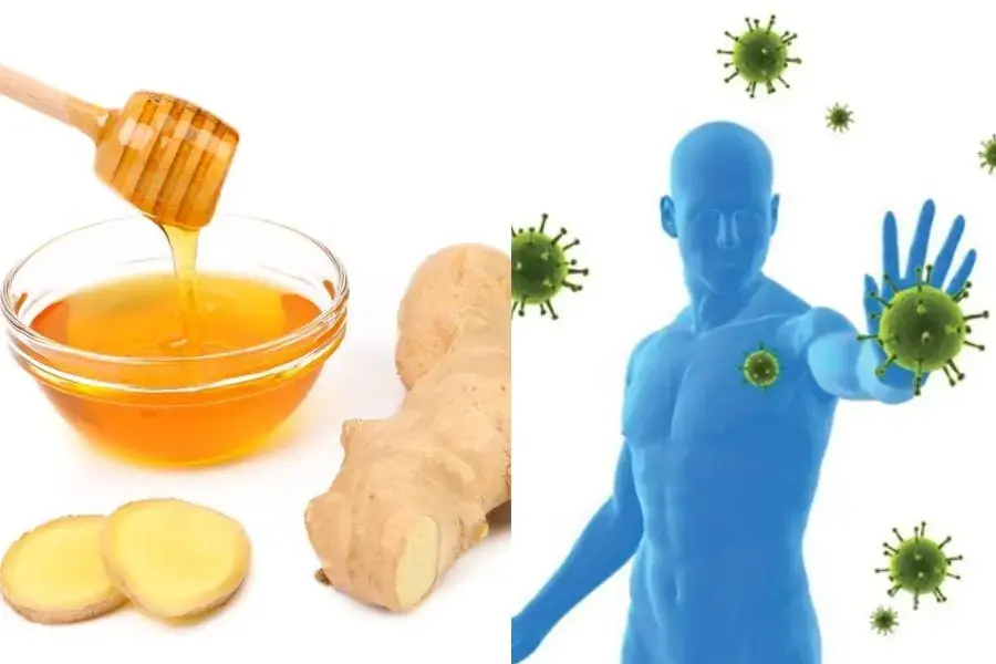 Các tế bào gây ung thư sẽ bị ngăn chặn và suy yếu dần