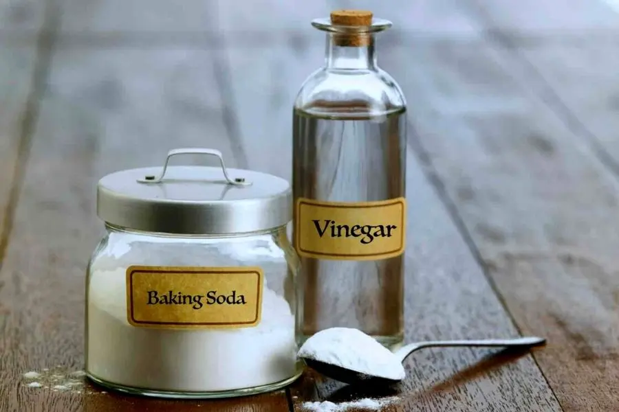 Vệ sinh ấm điện