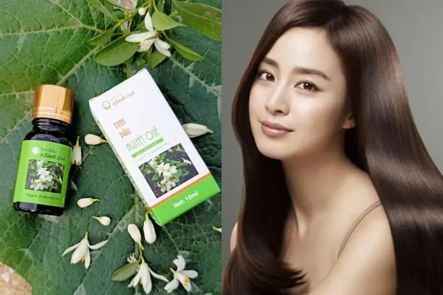 Muốn sở hữu một mái tóc suôn mượt và dày dặn dùng ngay tinh dầu nguyệt quế.
