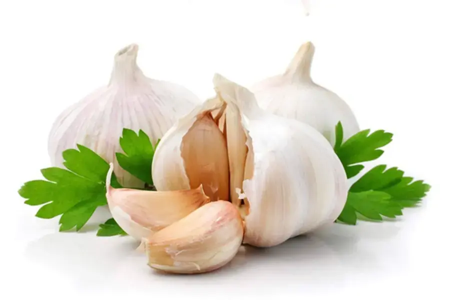 Hương từ tỏi sẽ giúp bảo vệ bạn khỏi những đàn muỗi (Nguồn: medlatec.vn)