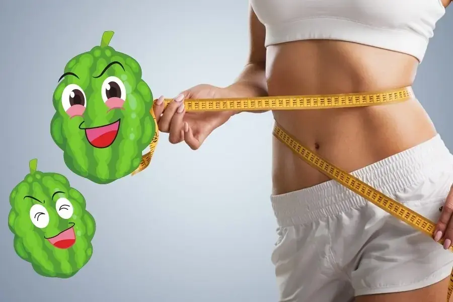 Khổ qua có tác dụng giảm cân