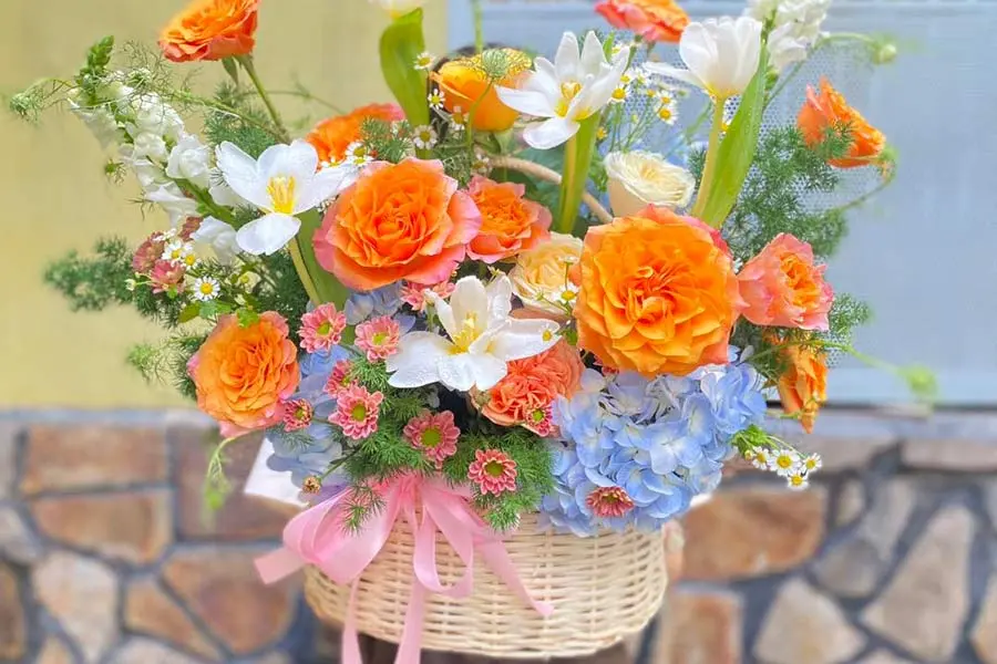 Có rất nhiều loại hoa 20 11 để bạn lựa chọn tặng thầy cô.