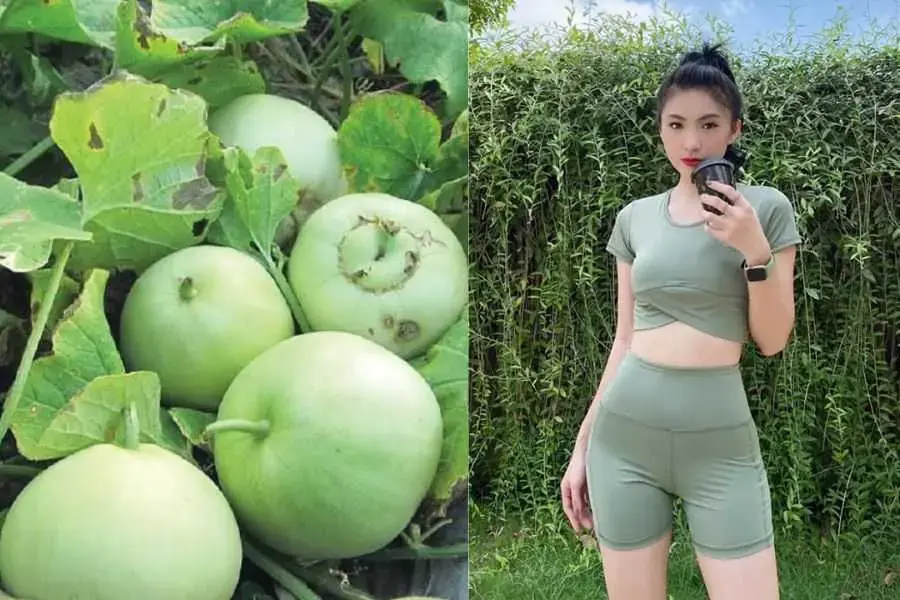Một sự lựa chọn tuyệt vời cho bạn để xếp dưa lê vào thực đơn giảm cân.