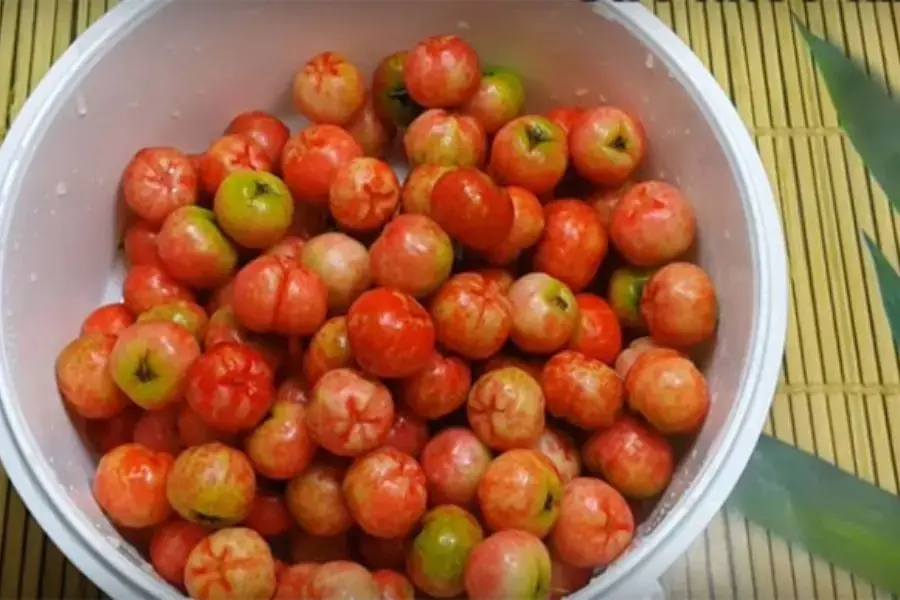 Cách bảo quản sơ ri