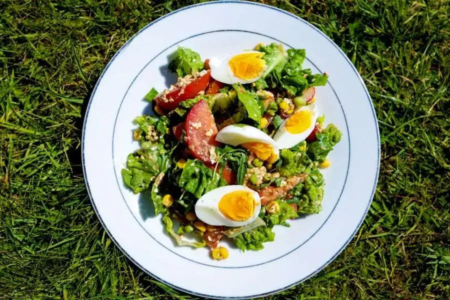 Công thức bữa sáng Eat Clean salad trứng gà tươi ngon