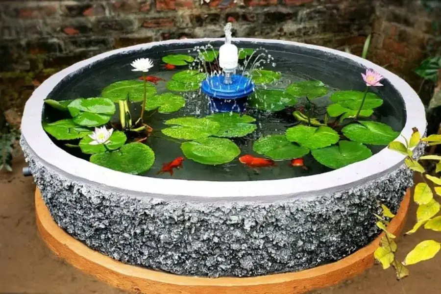 Nếu nhà bạn có sân rộng hãy đầu tư thêm bể cá cảnh ngoài trời để sân vườn đẹp hơn