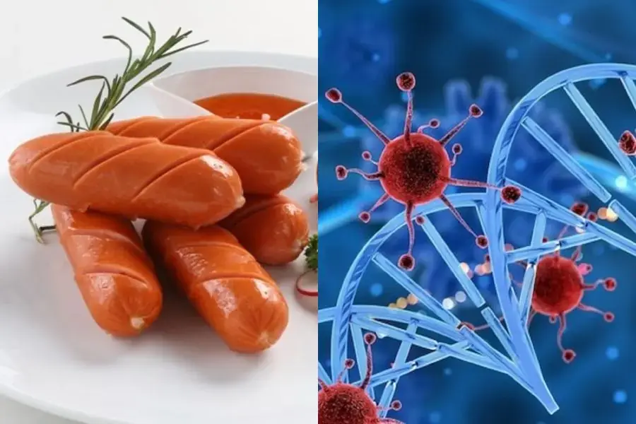 Ăn nhiều xúc xích sẽ tiềm ẩn nguy cơ mắc bệnh ung thư, bạn đã biết chưa?
