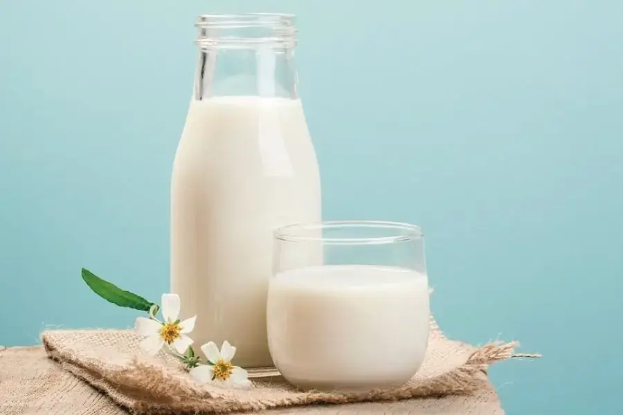 Uống đủ 2 ly sữa mỗi ngày là lời khuyên tốt nhất dành cho các sĩ tử