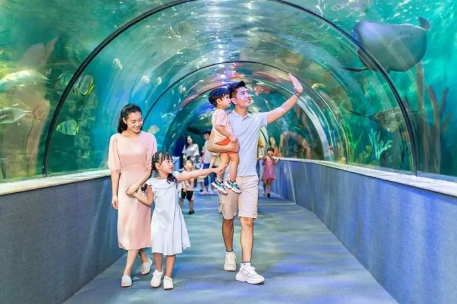 Thủy cung Times City mang đến trải nghiệm khám phá thế giới đại dương cho cả gia đình