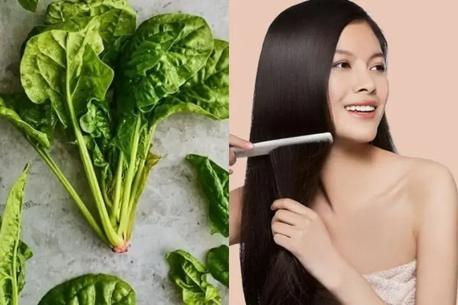 Rau bina giúp đẹp da, dưỡng tóc chắc khỏe.