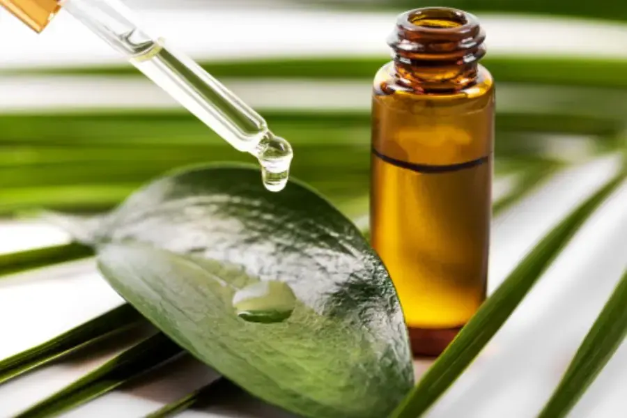 Tinh dầu có thể đuổi bọ chét.