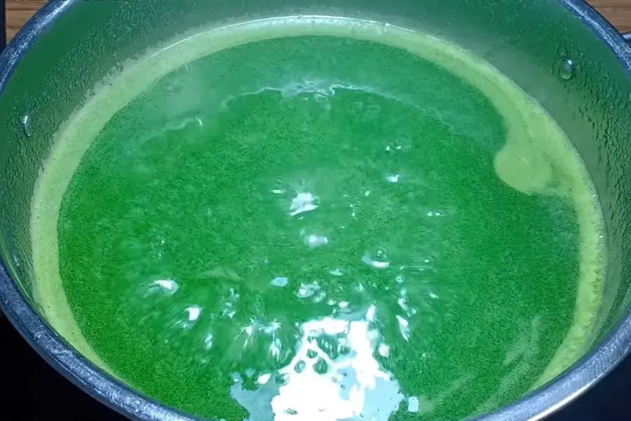 Nấu rau câu