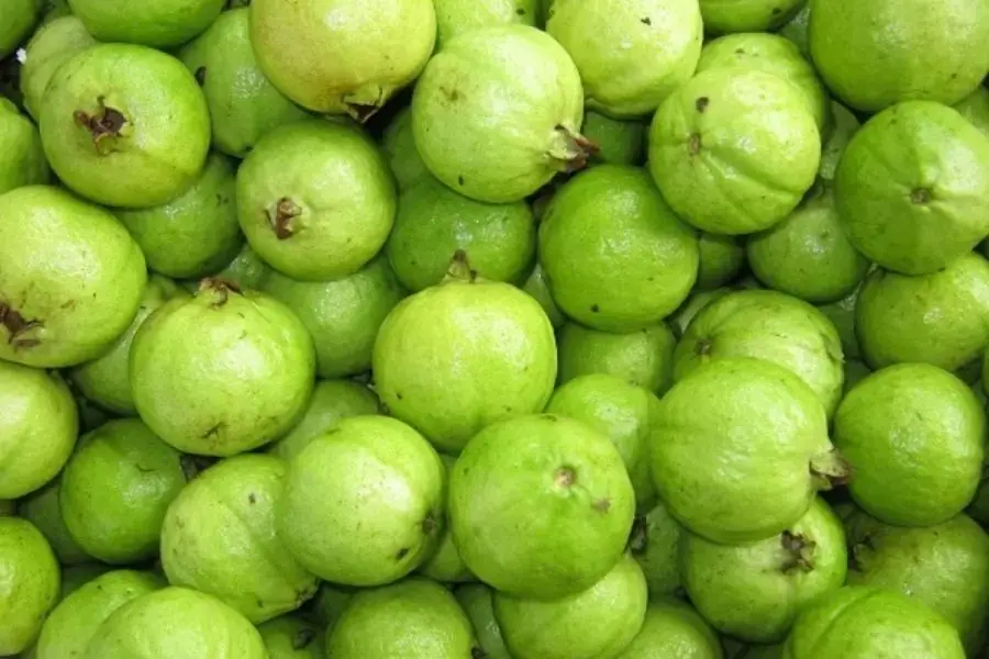 Hình dáng quả ổi
