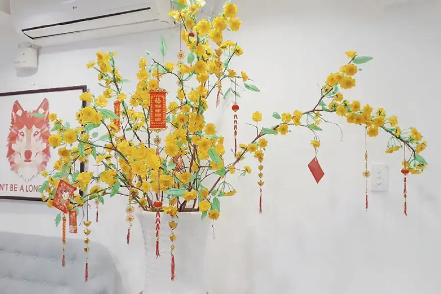 Mua sắm cây đón Tết.