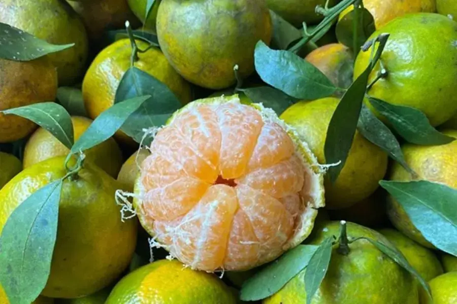Quả quýt bóc vỏ
