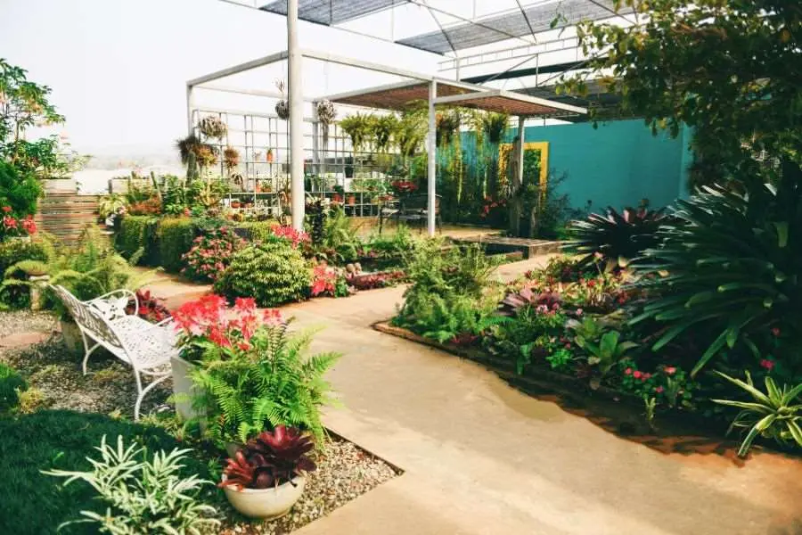 Không gian cafe sân vườn ngoài trời rợp bóng cây cối xanh mát.