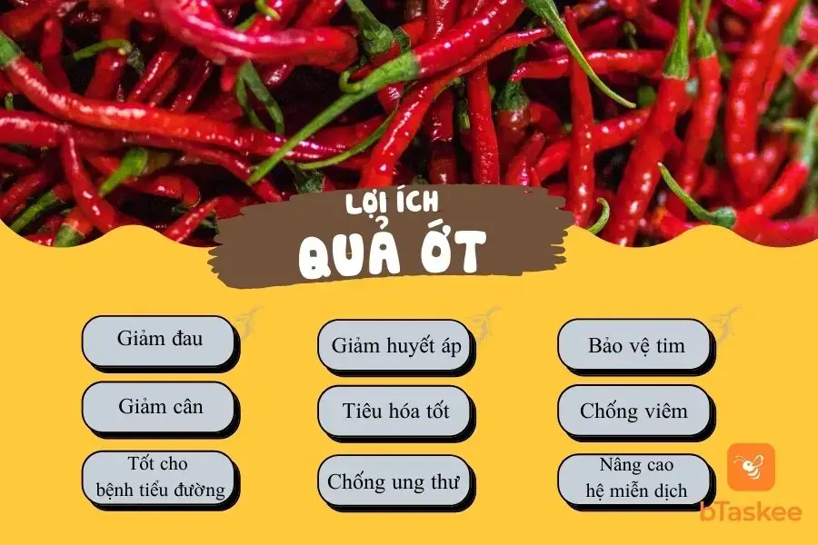Lợi ích sức khỏe của quả ớt