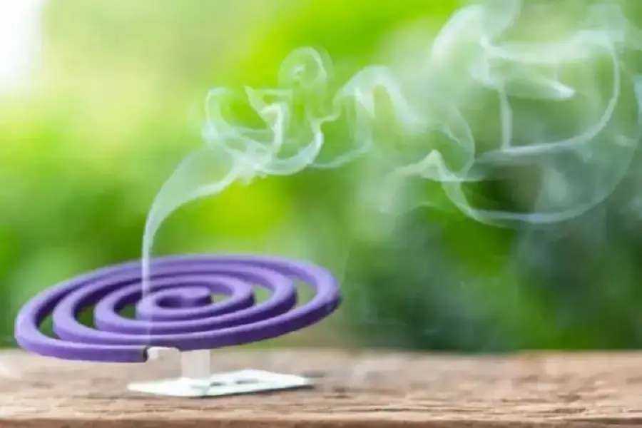 Nên chọn những vị trí có cửa sổ để đặt hương muỗi
