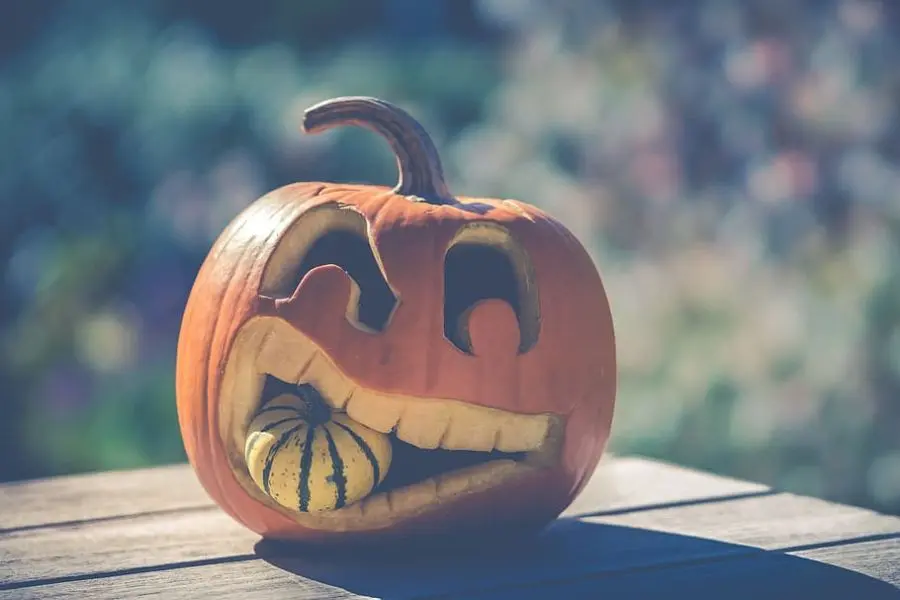 Mẫu bí ngô Halloween ngộ nghĩnh.