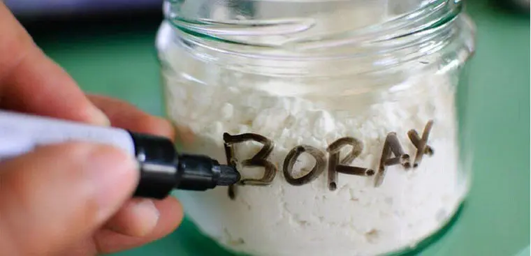 lọ hàn theo ghi tên tiếng anh borax