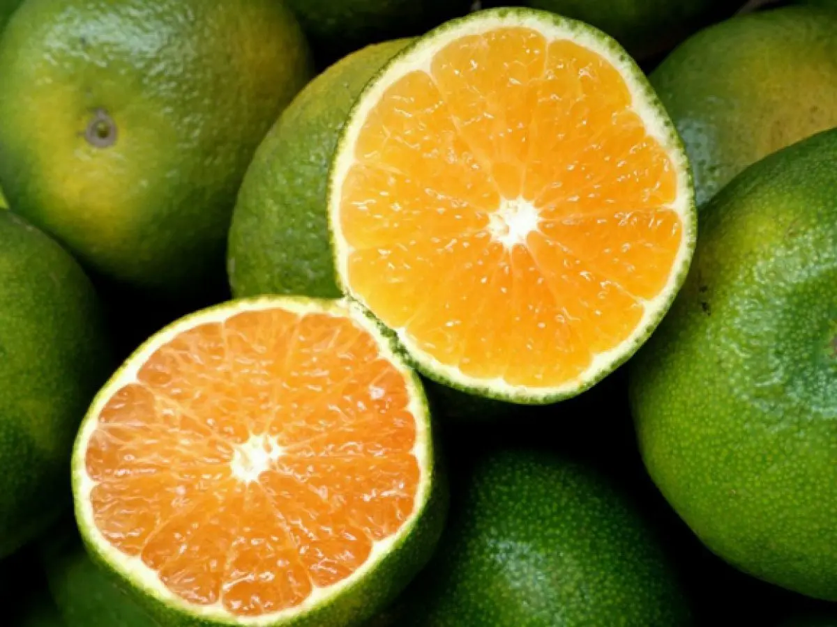 Cam Xoàn tươi món tráng miệng hoàn hảo