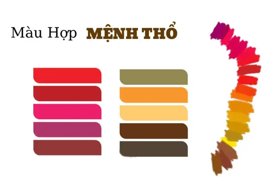 Chọn cây để bàn làm việc có màu sắc tương hợp với mệnh thổ