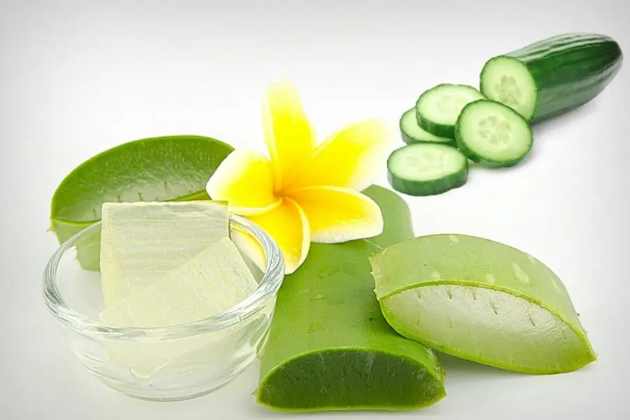 Nha đam cực kì đơn giản nhưng lại vô cùng hiệu quả.