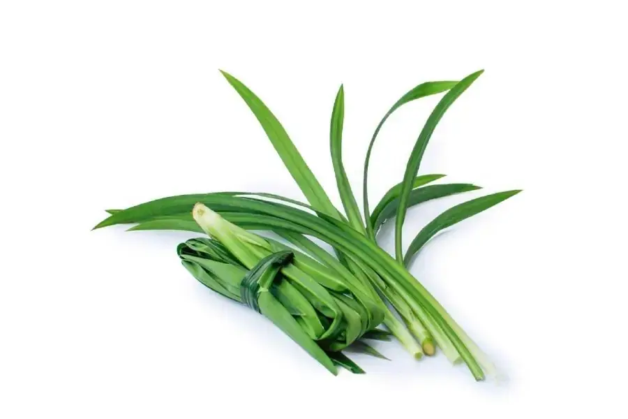 Khử mùi bằng lá dứa hiệu quả