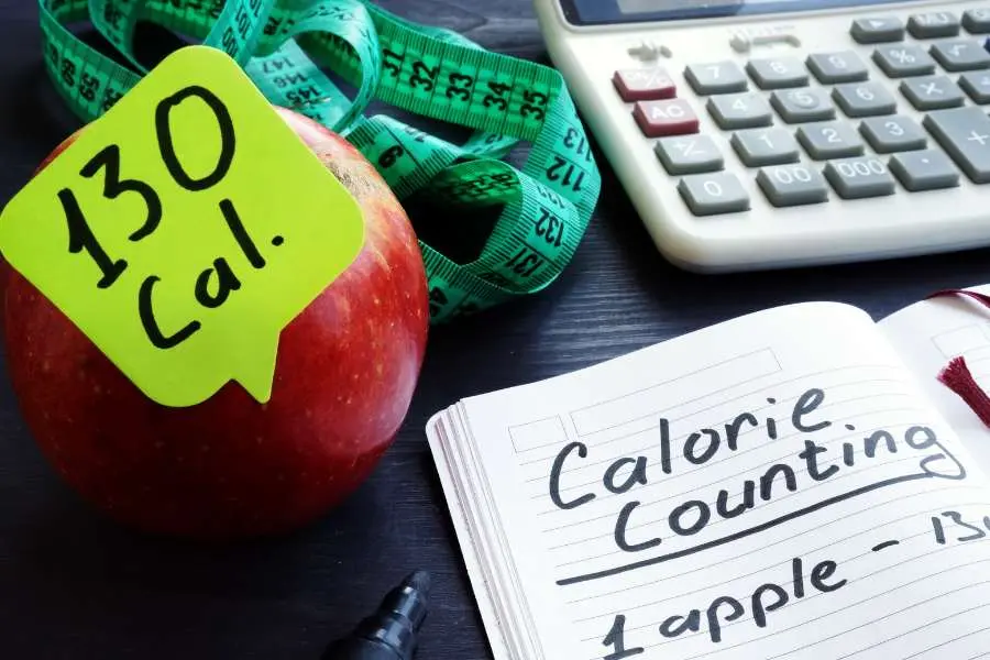Tính lượng calo cho mỗi bữa ăn trưa