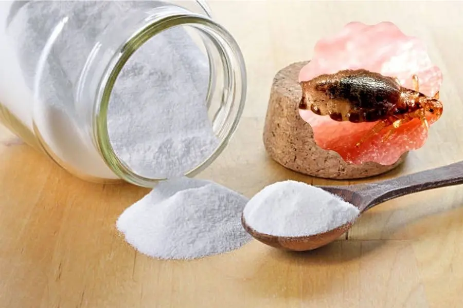 Sử dụng baking soda để trị chấy trên tóc.