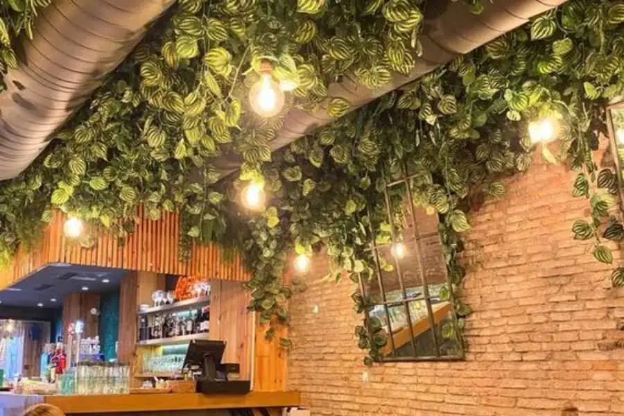 Trang trí cây xanh trên trần quán cafe tạo sự mát mẻ, thư thái