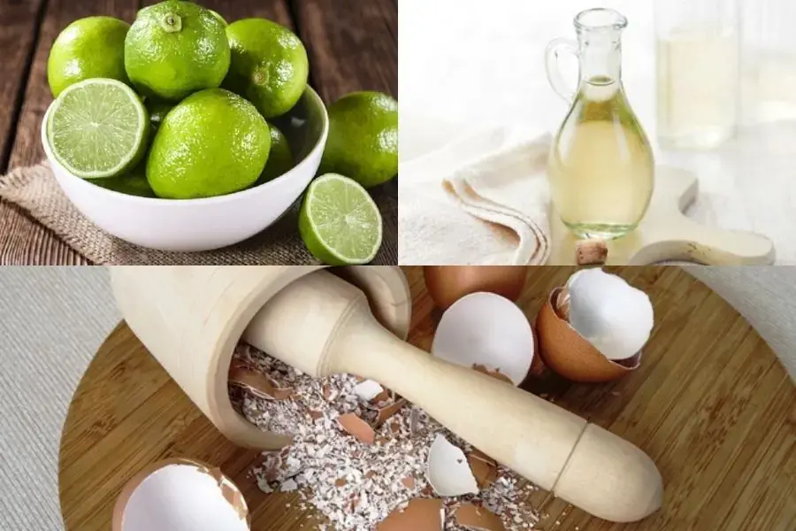 Sử dụng hỗn hợp vỏ trứng, chanh và giấm làm sạch vết bẩn trên đồ sứ