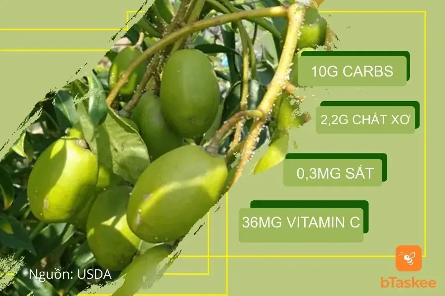Dinh dưỡng trong quả cóc