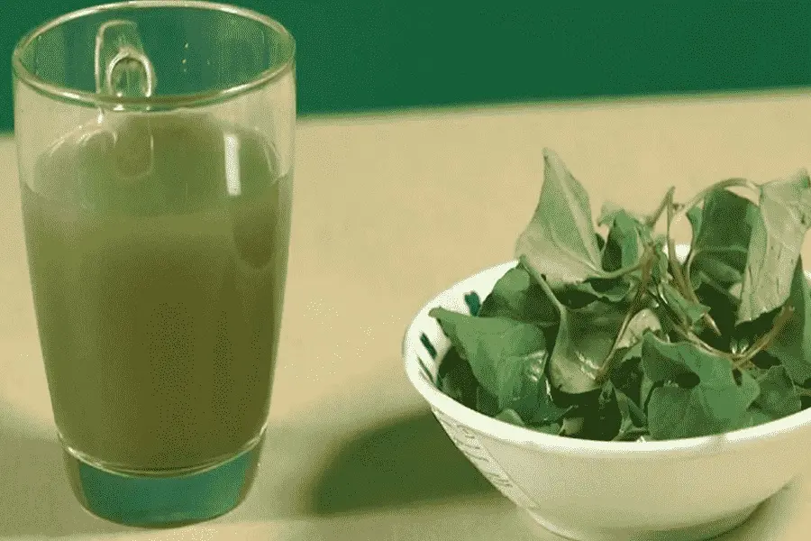 Kết hợp rau diếp cá và mặt nạ nha đam trị mụn.