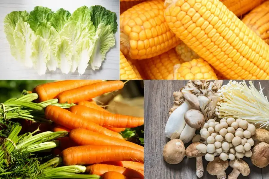 Nguyên liệu dùng để chế biến món lẩu nấm chay