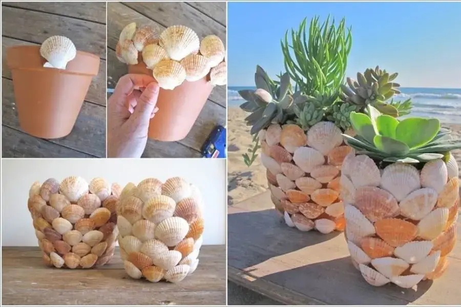 Sự kết hợp hoàn hảo giữa vỏ sò và cây xanh