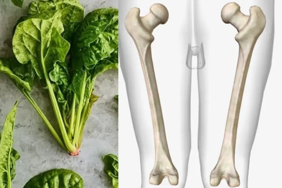 Rau bina giúp hạn chế các bệnh về xương khớp.
