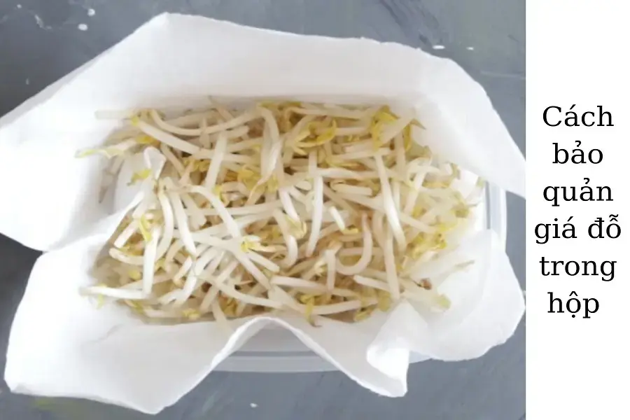 Bảo quản giá đỗ