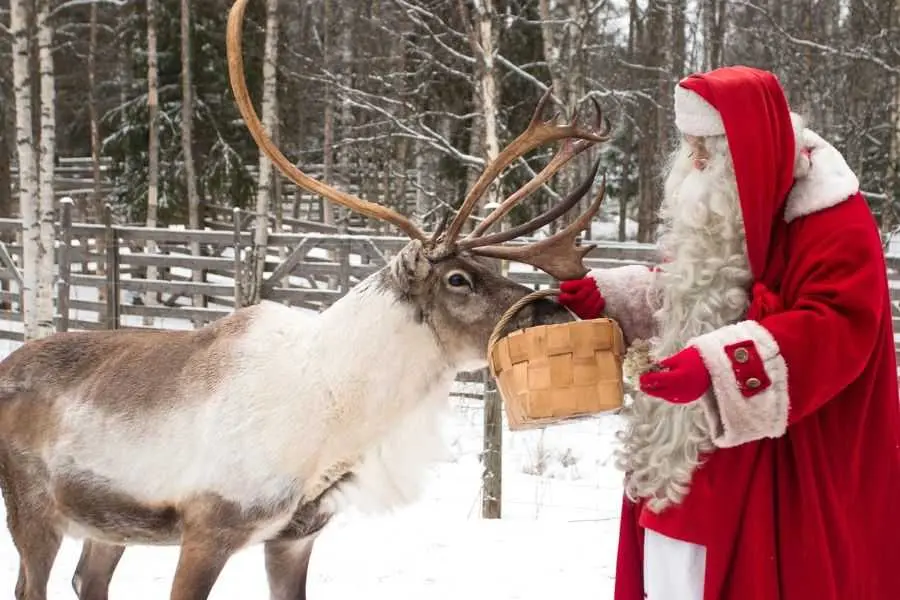 Ông già Noel cho tuần lộc ăn yến mạch thần kỳ.