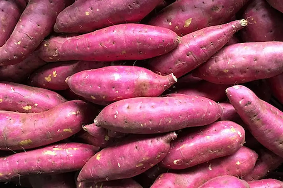 Khoai lang giúp cơ thể phòng ngừa sự thiếu hụt vitamin A.