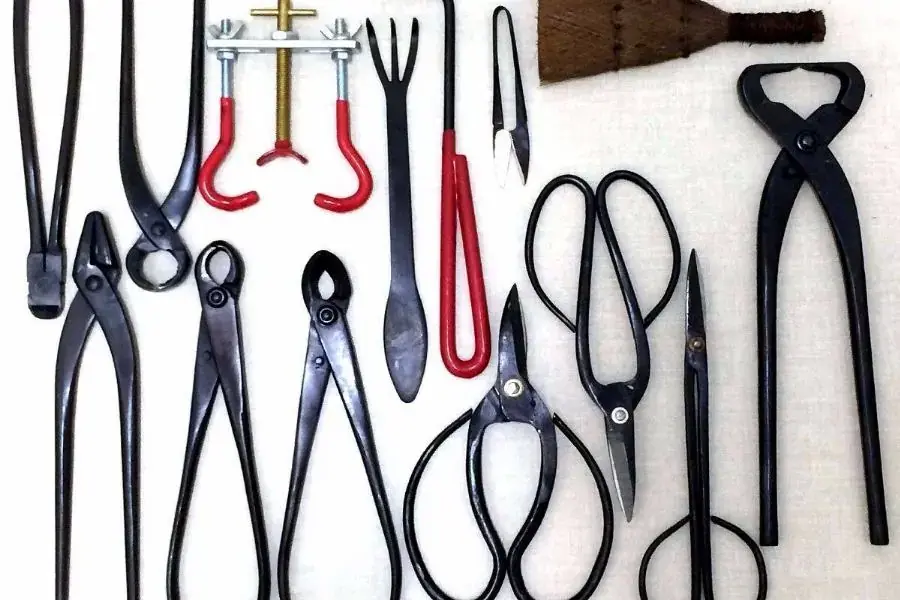 Dụng cụ cơ bản chuẩn bị uốn cây cảnh tại nhà