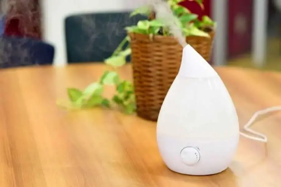 Máy phun sương là thiết bị nhỏ gọn nhưng tạo độ ẩm rât tốt (Hình ảnh: Cloudinary)