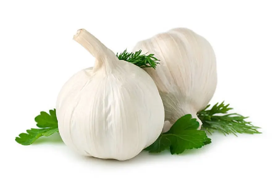 Bảo quản tỏi trong ngăn đá