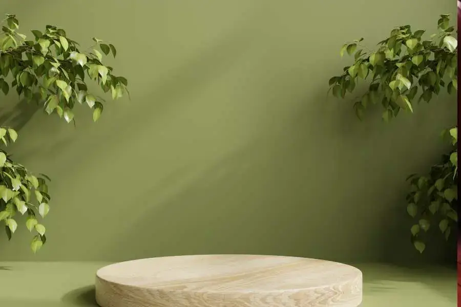 Sân khấu phong cách tropical lấy cảm hứng từ miền nhiệt đới